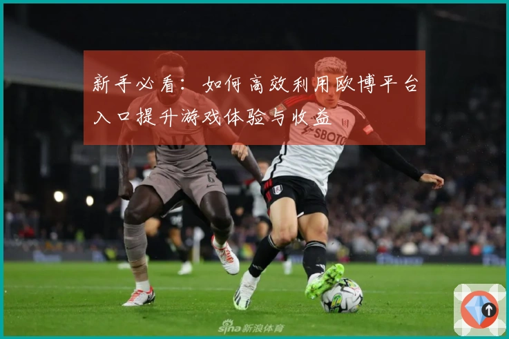 新手必看：如何高效利用欧博平台入口提升游戏体验与收益