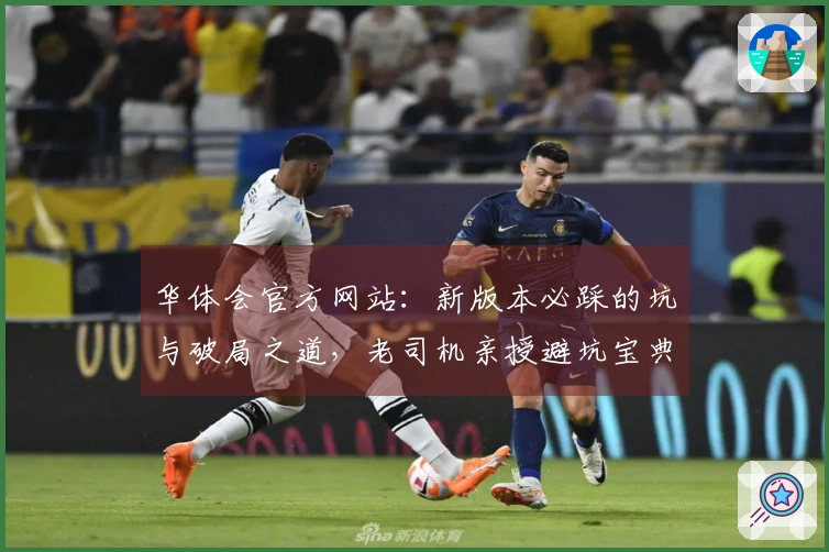 华体会官方网站：新版本必踩的坑与破局之道，老司机亲授避坑宝典助你畅游！