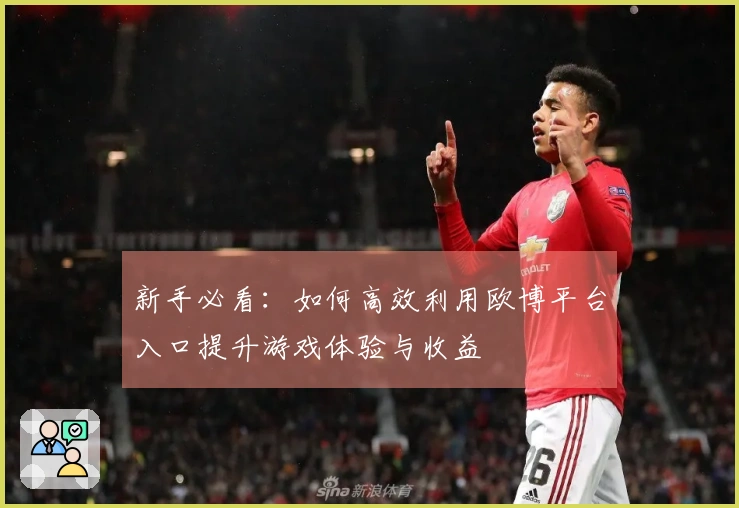 新手必看：如何高效利用欧博平台入口提升游戏体验与收益