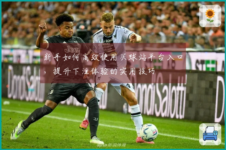 新手如何高效使用买球站平台入口，提升下注体验的实用技巧